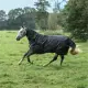 Bucas Irish Turnout+neck 50 gram regendeken
